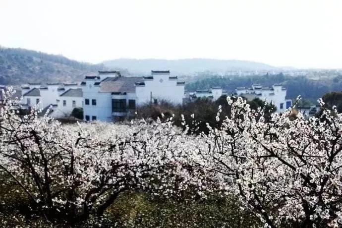 相约亚布力 畅享雪生活——中国“雪之门”释放冰雪“热动能”